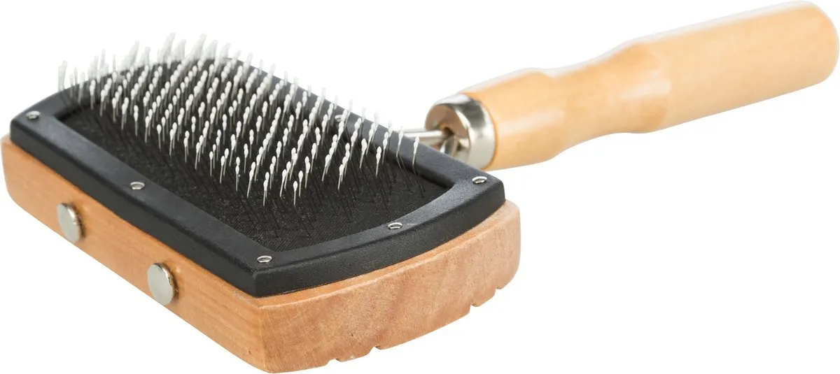 Trixie Borstel met metalen pinnen