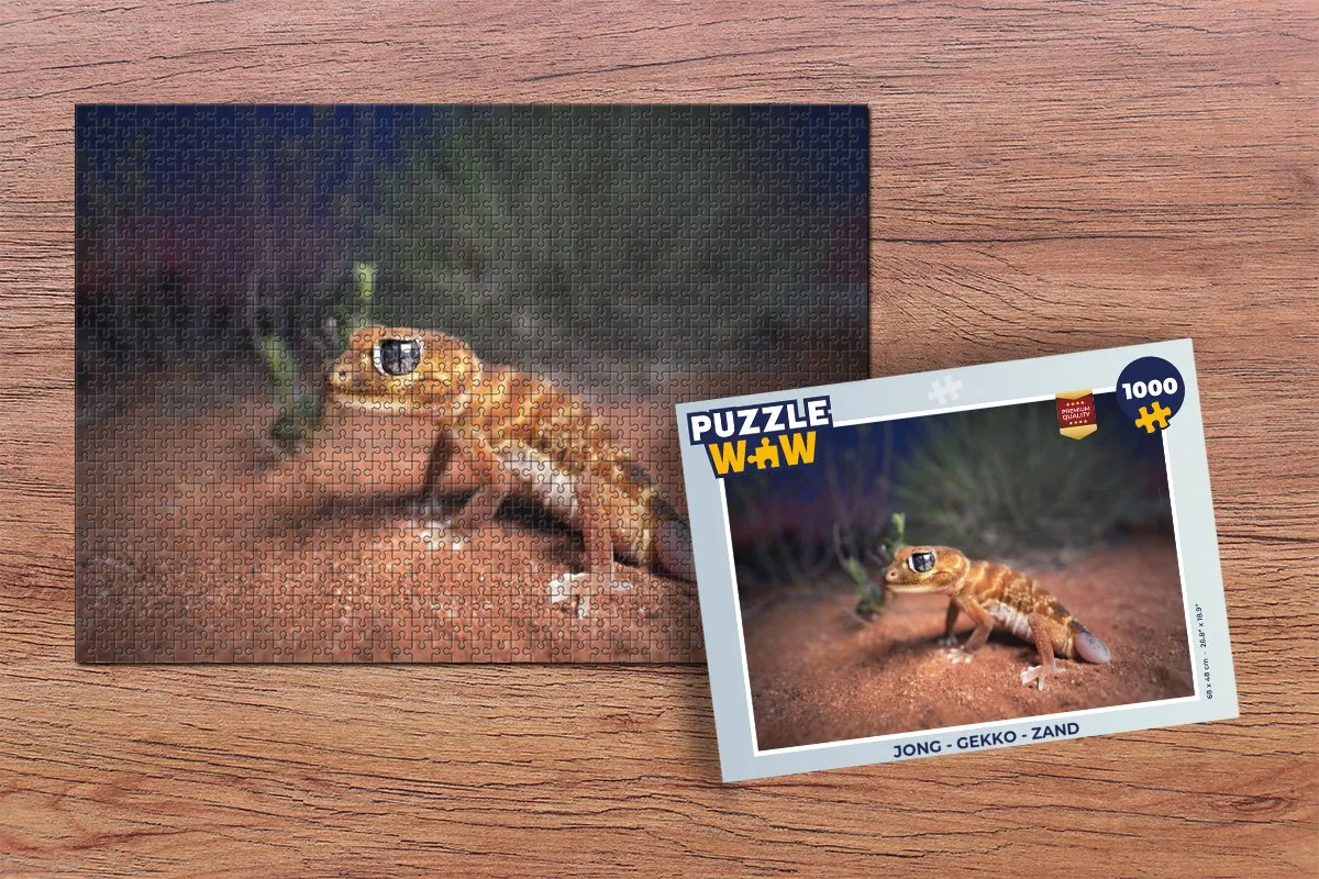 PuzzleWow Gekko Legpuzzel 1000 Stuks - Multicolor