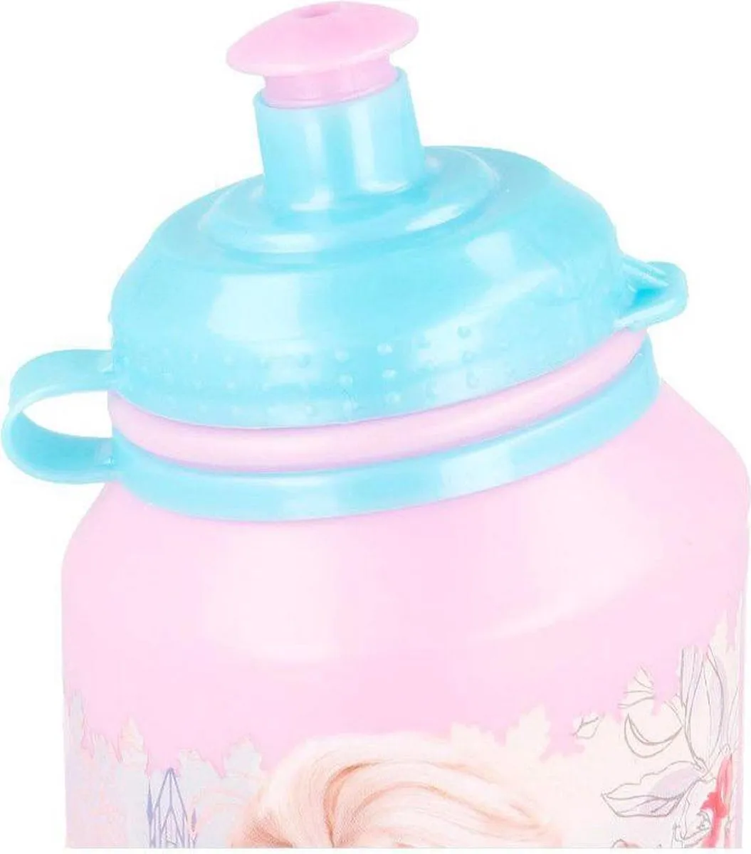 Disney Frozen Drinkfles Elsa & Anna 500ml - Multi