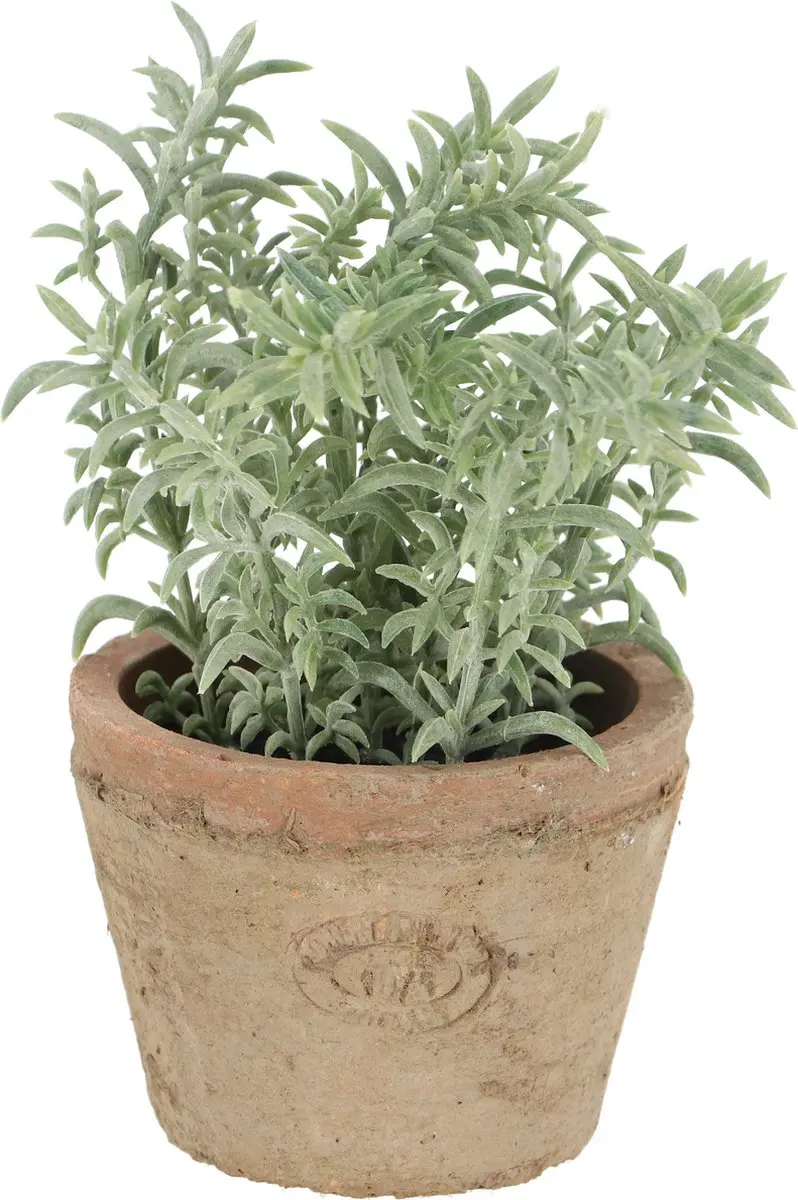 Esschert Design Kunstplant Tijm terracotta pot AH001
