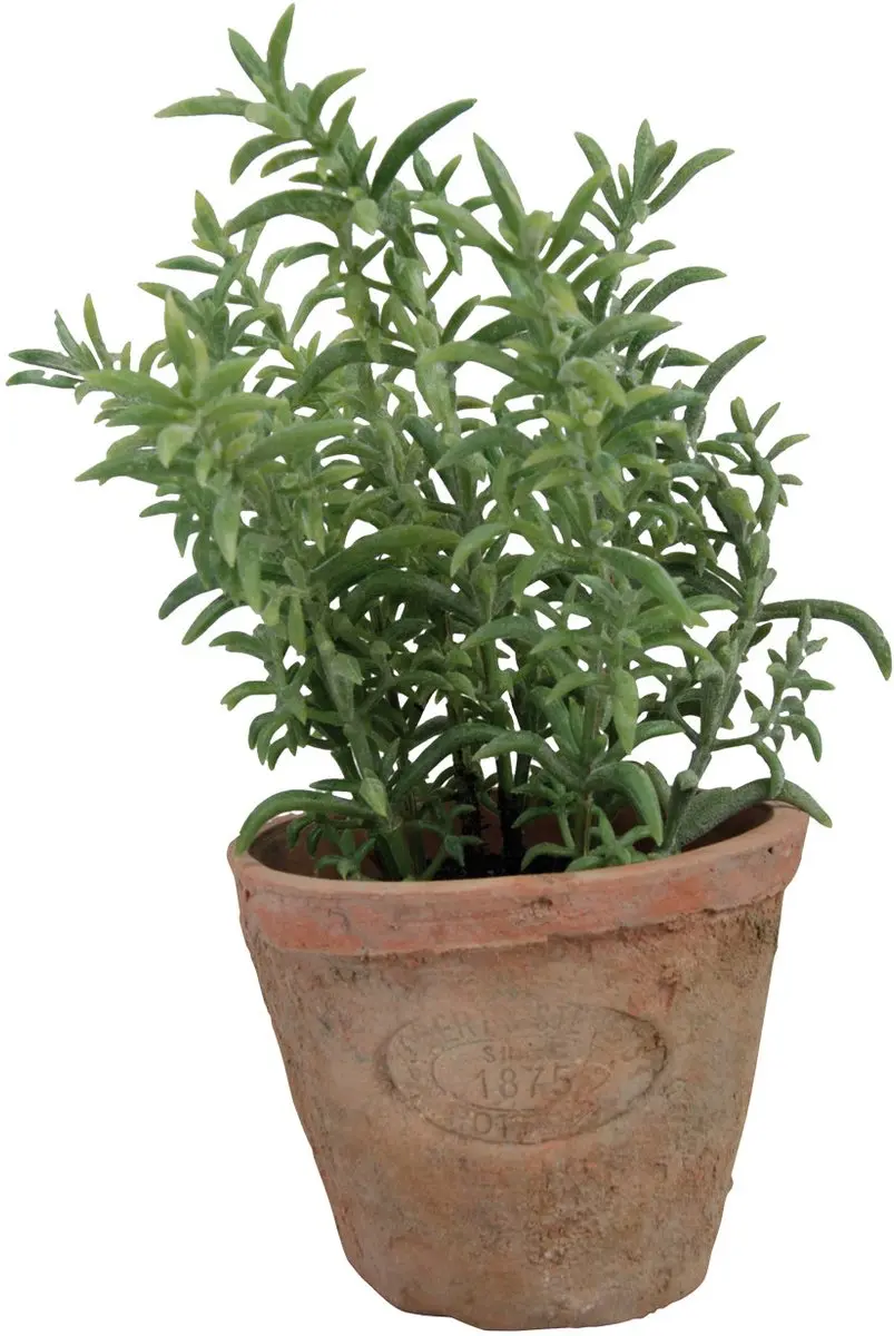 Esschert Design Kunstplant Tijm terracotta pot AH001 - afbeelding 3 van 3