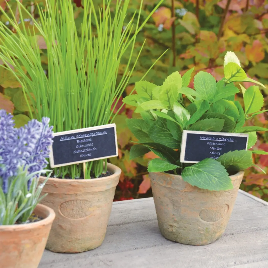 Esschert Design Kunstplant Tijm terracotta pot AH001 - afbeelding 2 van 3