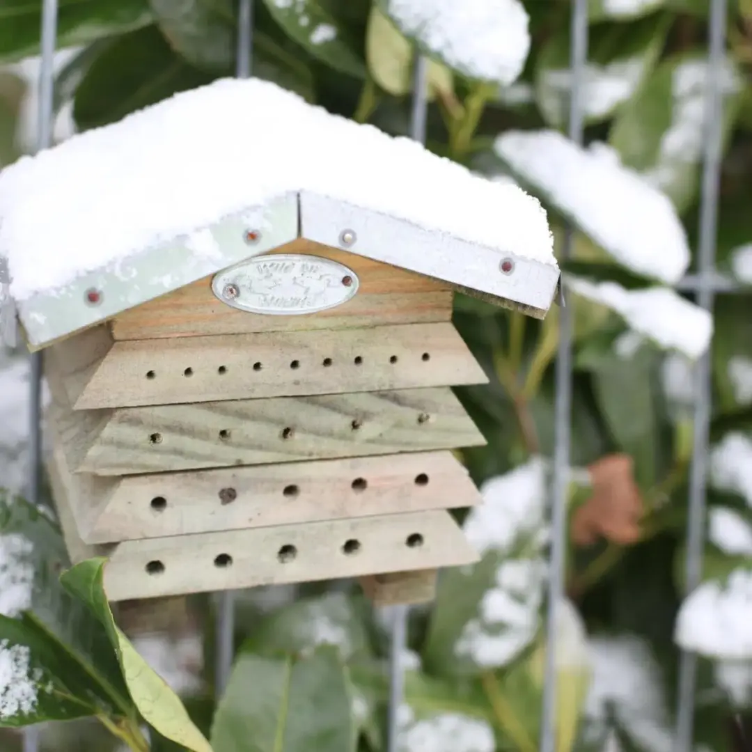 Esschert Design Insectenhotel Bijenhuis - afbeelding 2 van 6