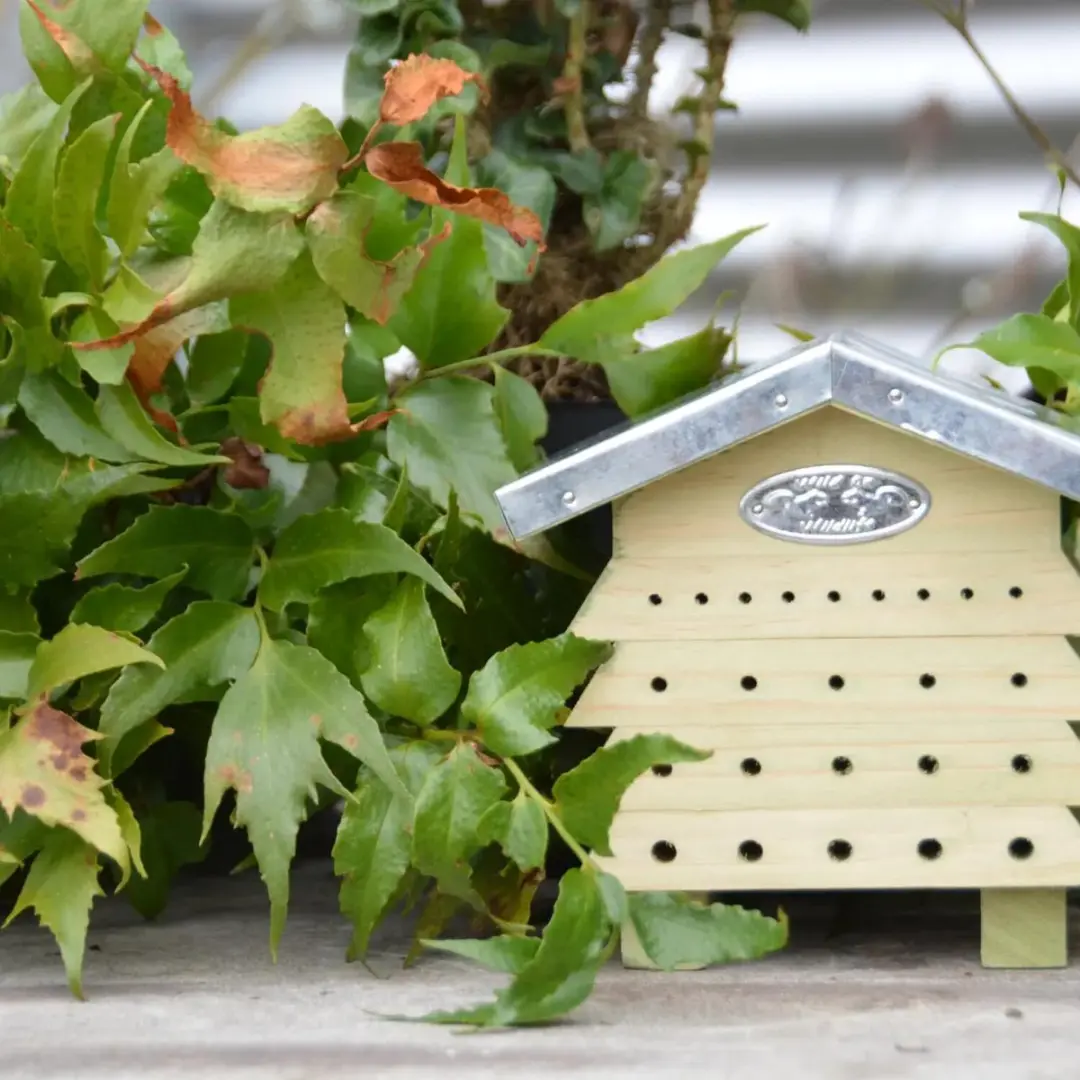 Esschert Design Insectenhotel Bijenhuis - afbeelding 3 van 6