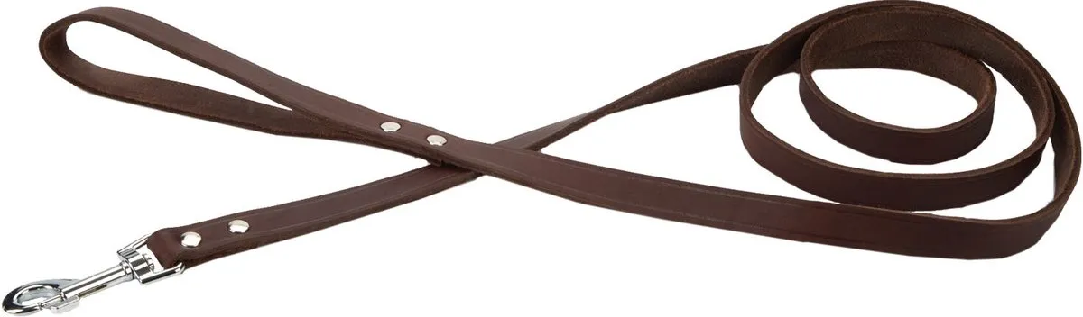 Beeztees Geniet Hondenriem 165cm x 16mm - Bruin