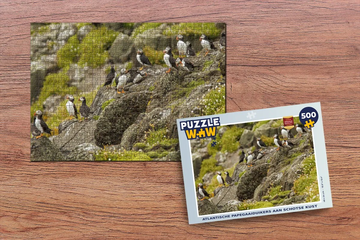 PuzzleWow Atlantische Papegaaiduikers Schotse Kust Legpuzzel 500 Stuks - Multicolor