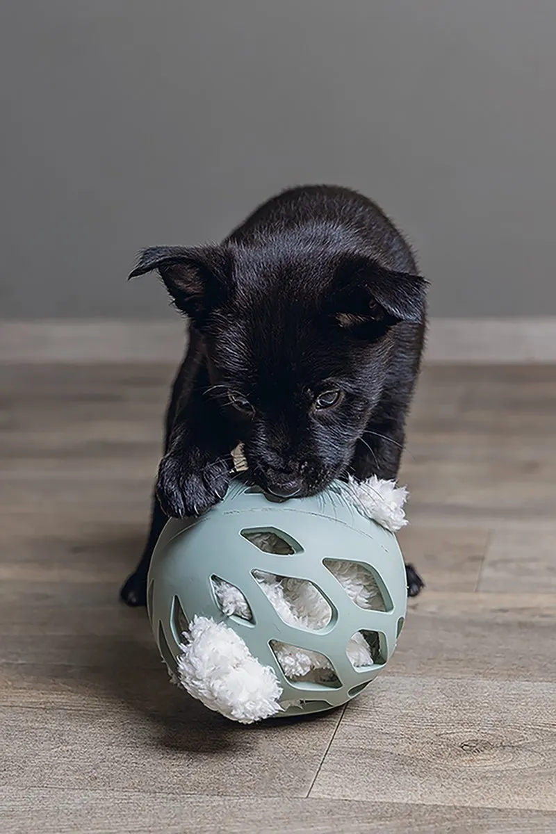 Beeztees Puppy Nijno Knuffel - 40x5x2cm