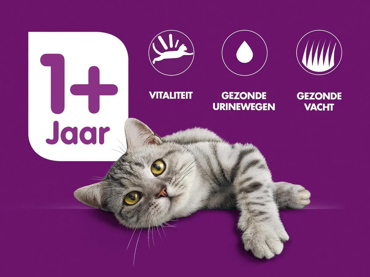 Whiskas Adult Kip in Saus Blikken - 12x400g