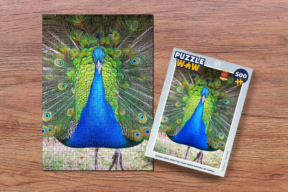 PuzzleWow Legpuzzel 500 Stuks - Multicolor