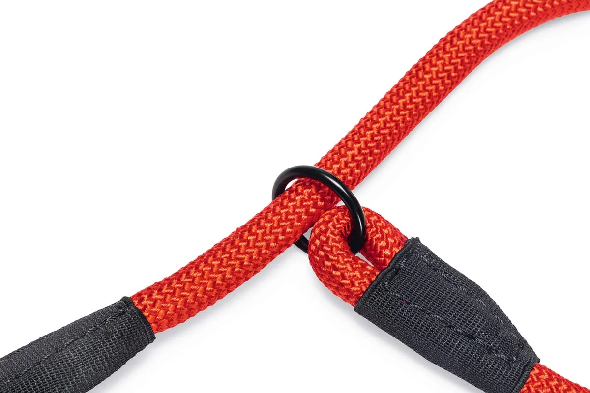 Beeztees Premium Parinca Hondenhalsband - Rood - 50x1,2cm - afbeelding 6 van 6