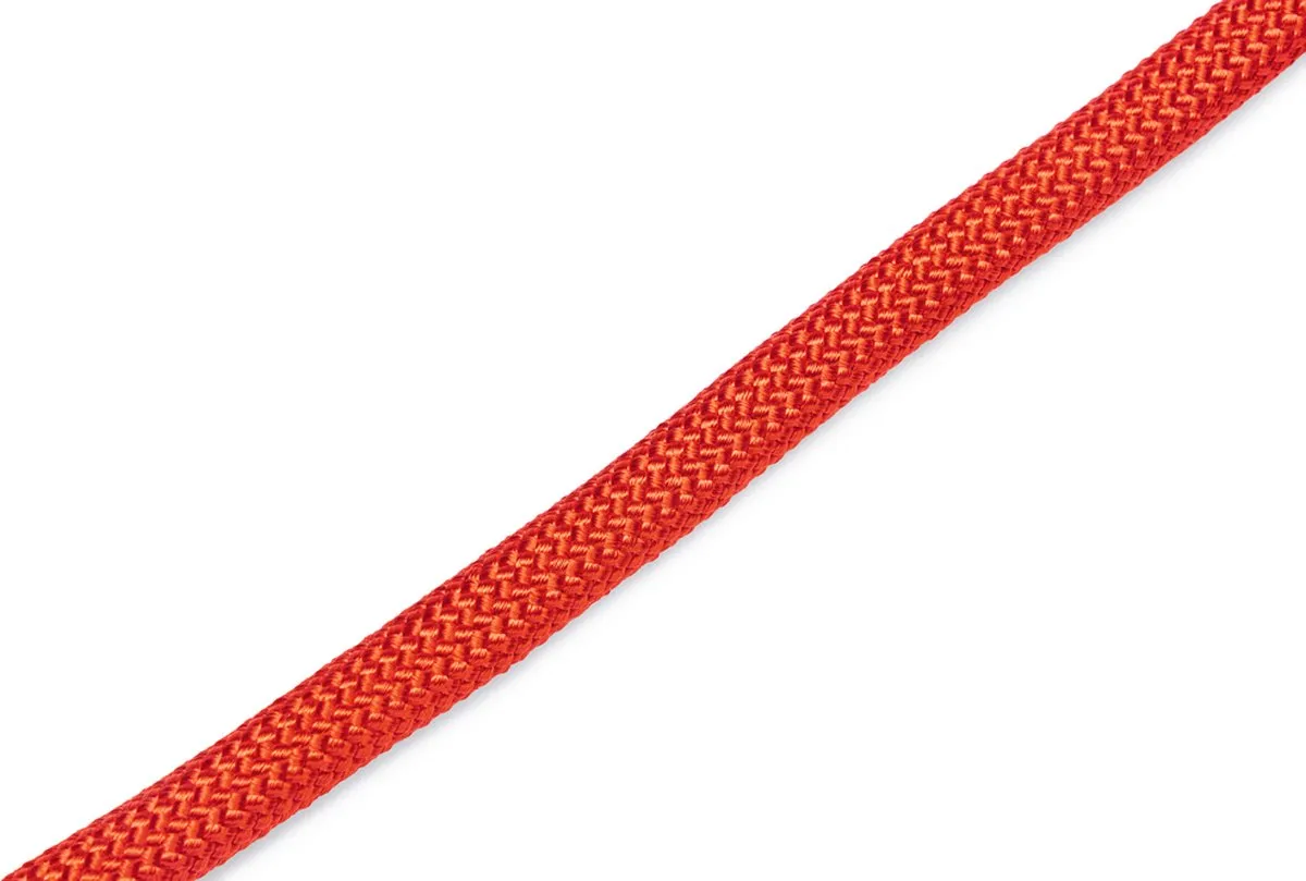 Beeztees Premium Parinca Hondenhalsband - Rood - 50x1,2cm