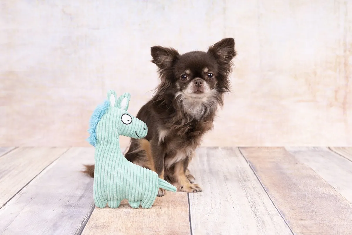 Flamingo Pebbles Corduroy Paard Honden-speelgoed - 23,5 cm - Turkoois