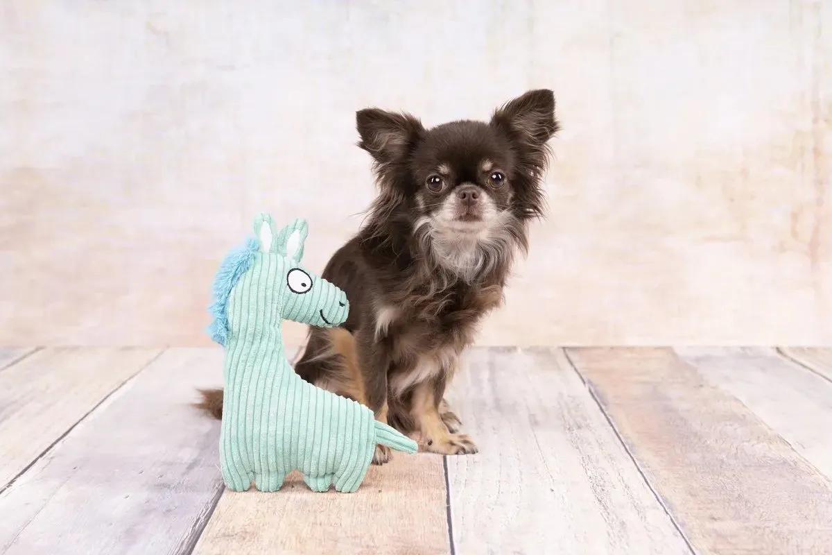 Flamingo Pebbles Corduroy Paard Honden-speelgoed - 23,5 cm - Turkoois