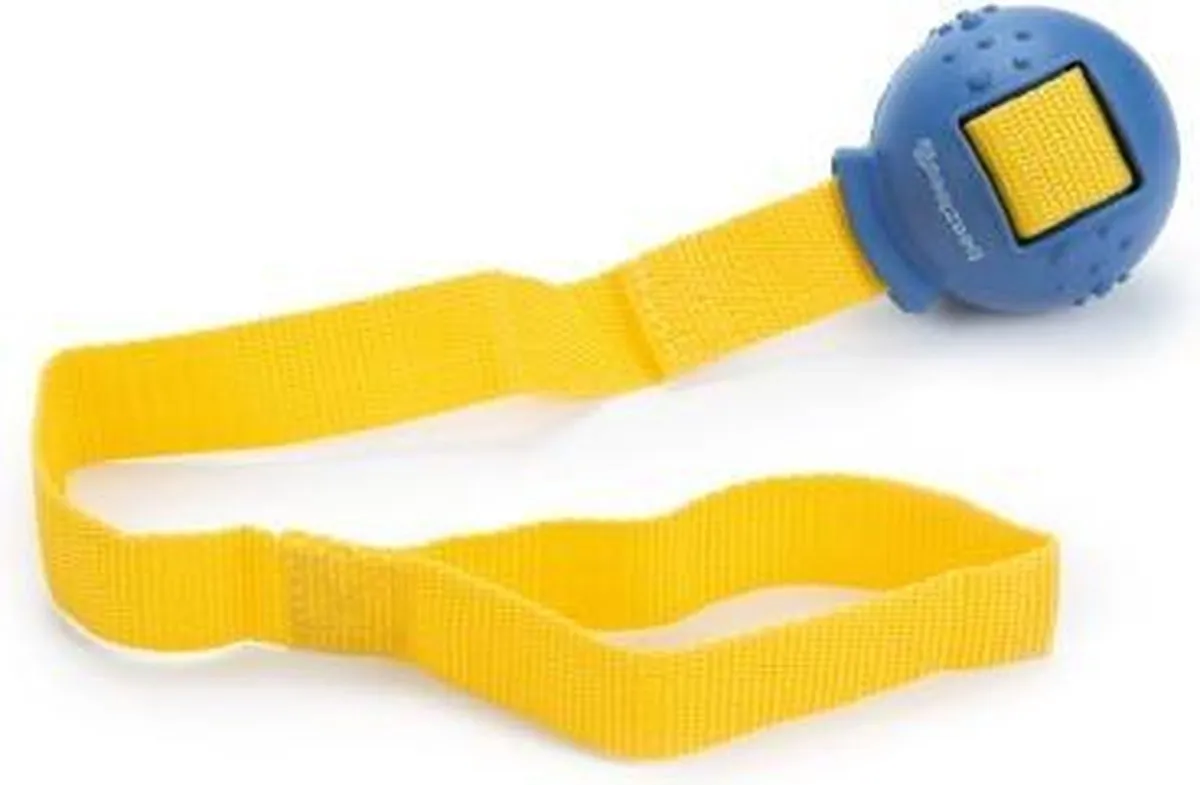 Beeztees I-Fly Slingerbal Hondenspeeltje
