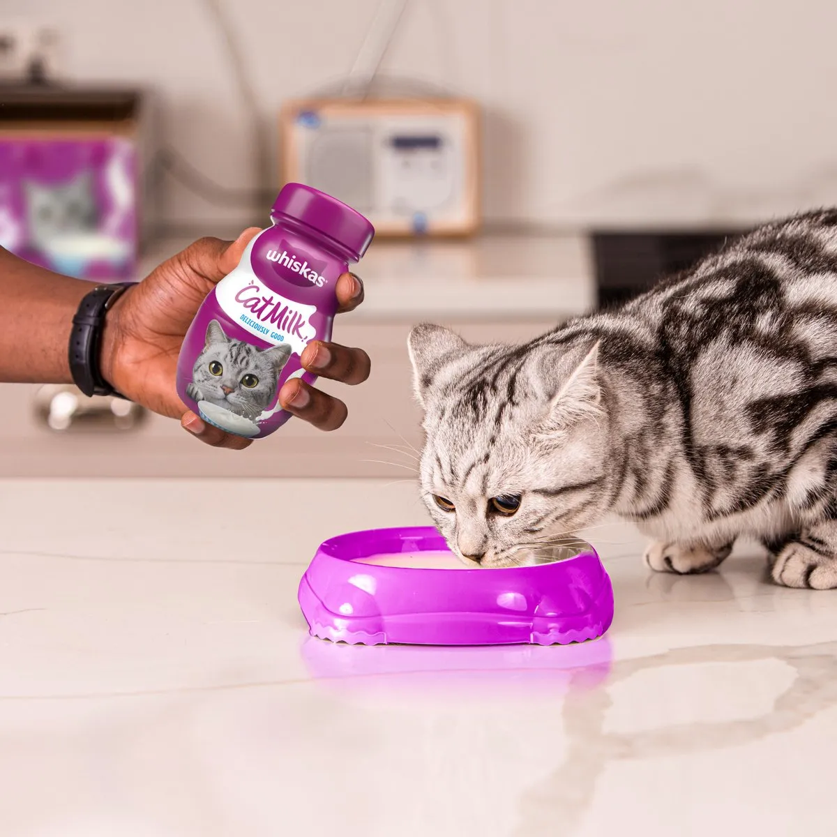 Whiskas Kattenmelk - 15x200ml