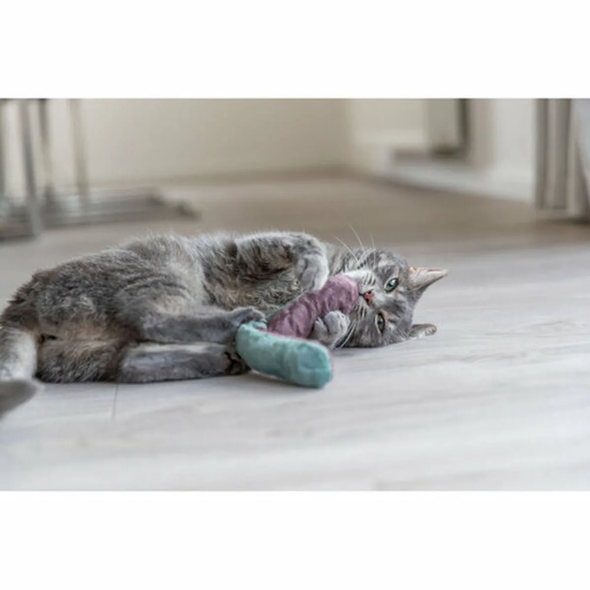 Trixie Kattenspeeltje - afbeelding 2 van 5