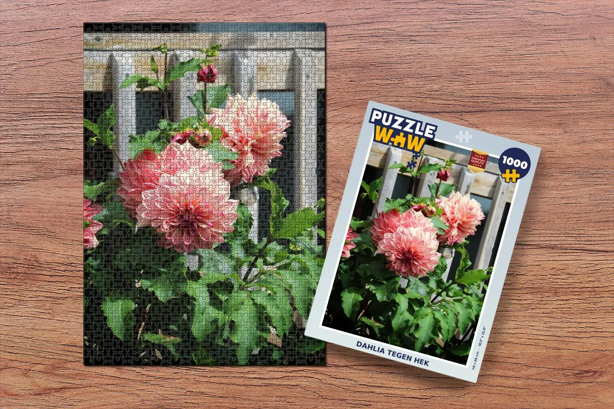 PuzzleWow Dahlia tegen hek Legpuzzel 1000 Stuks - Multicolor