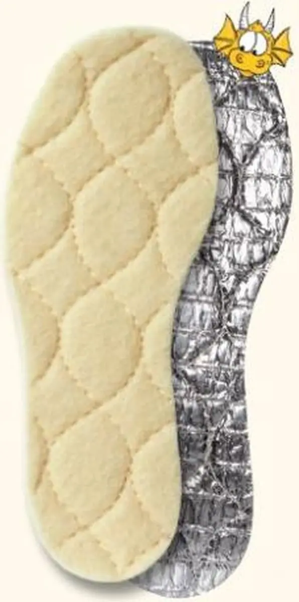 Pedag Zool 1451 22/3 Solar winter voor super warme kinder voeten. Aluminium met