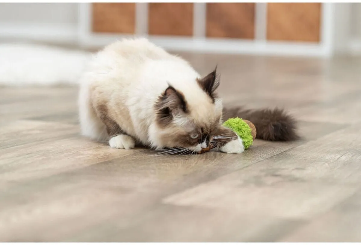 Trixie Lolli XXL Katten Speeltje - Groen - afbeelding 4 van 4