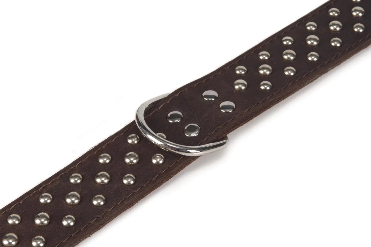Beeztees Leren Halsband Noppy - XS - Bruin