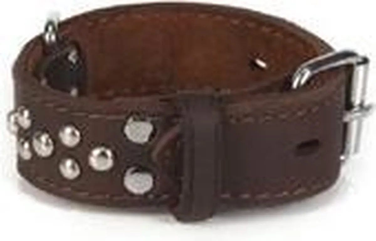 Beeztees Leren Halsband Noppy