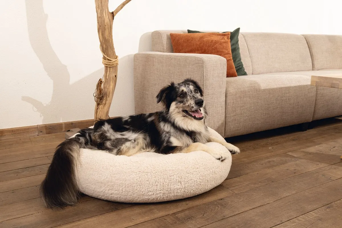 Beeztees Jaxx Orthopedische Hondenmand 50x50x20cm