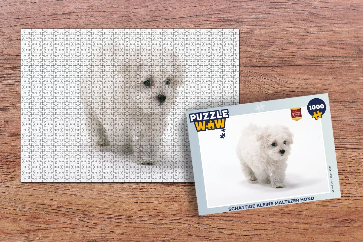 PuzzleWow Maltezer Hond Legpuzzel 1000 Stuks - Multicolor