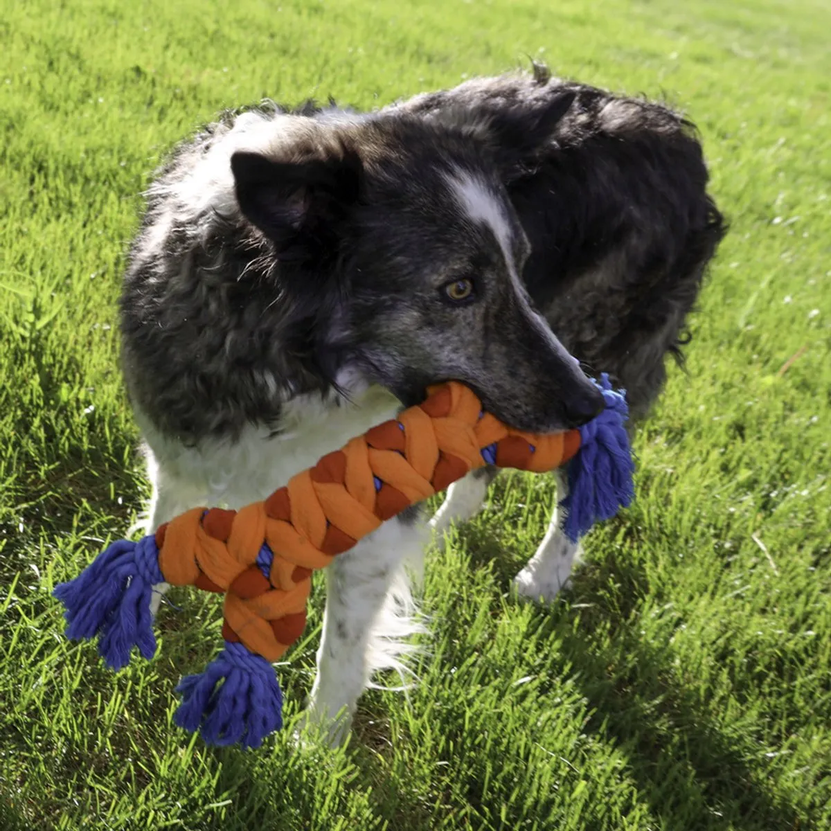 KONG Rope Rally Bone - M - Oranje/Rood/Blauw