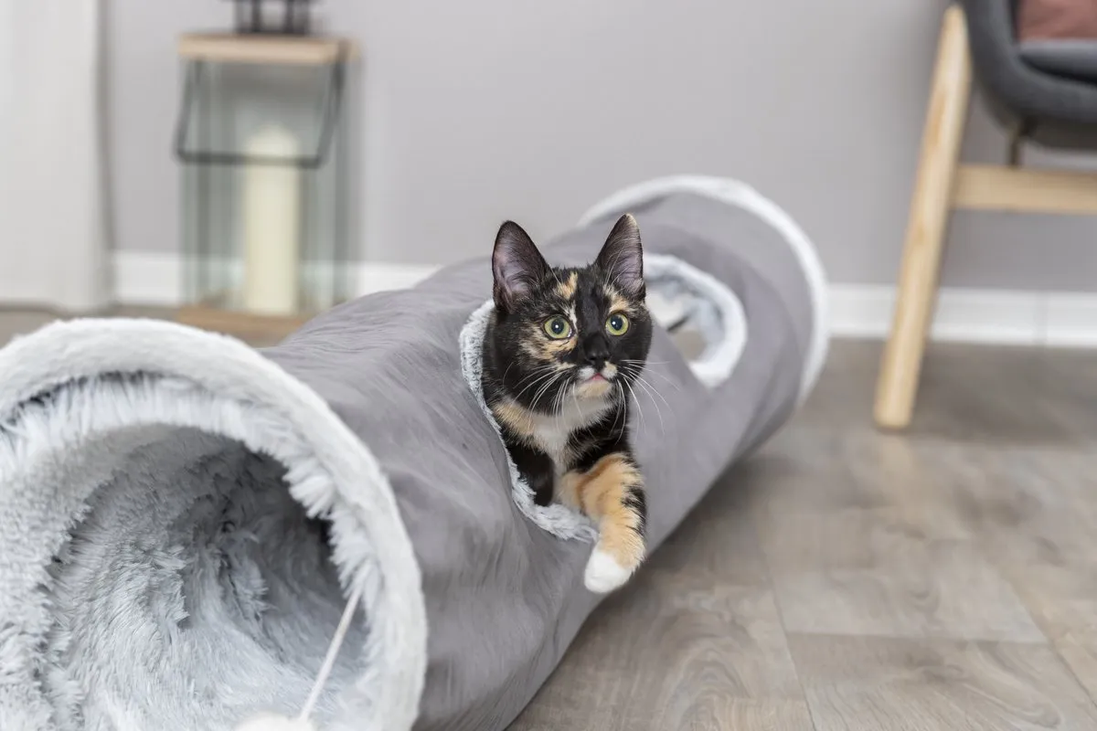 Trixie Katten Speeltunnel Harvey - Grijs 116x27cm