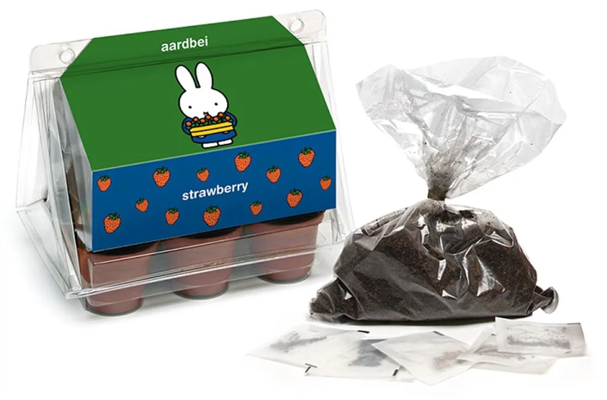 Nijntje Aardbei Kweekset