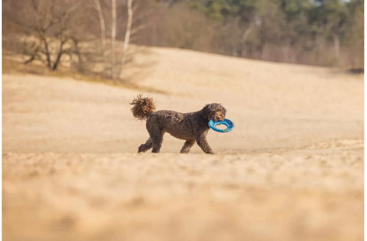 Beeztees Foam Frisbee Geel