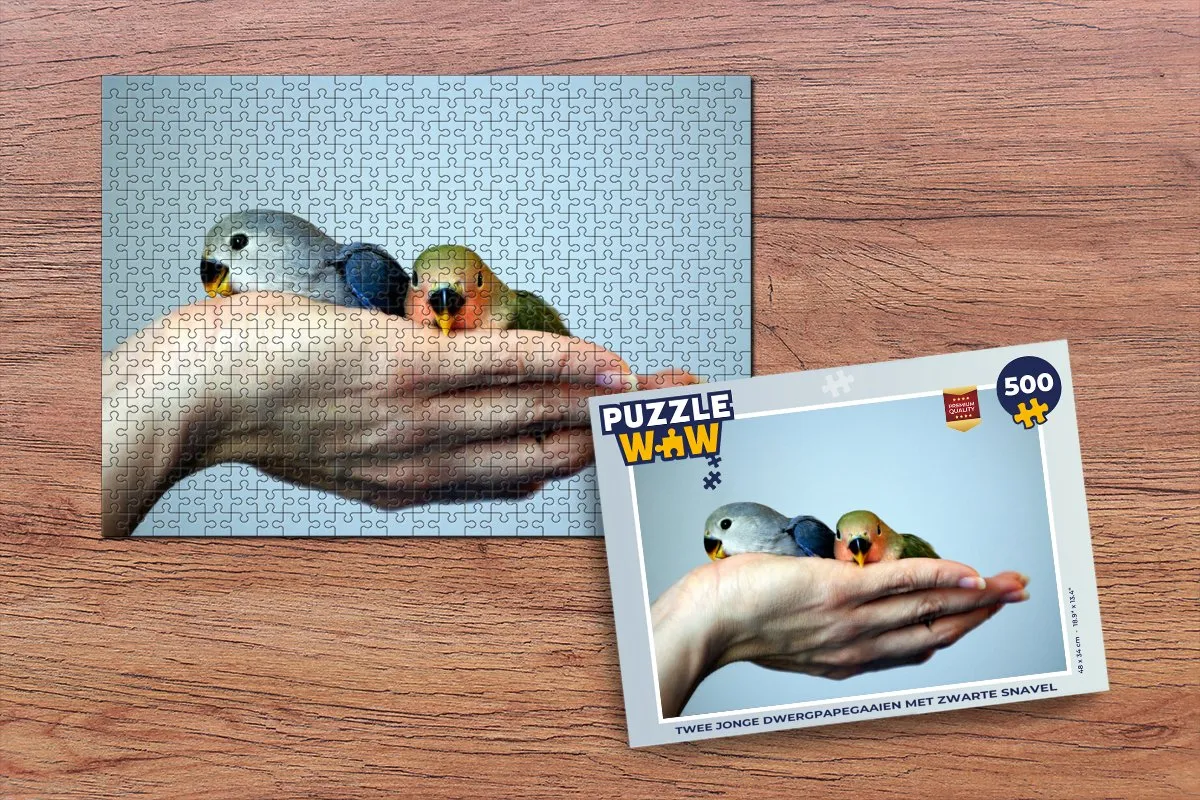 PuzzleWow Legpuzzel Twee jonge dwergpapegaaien 500 Stuks - Multicolor