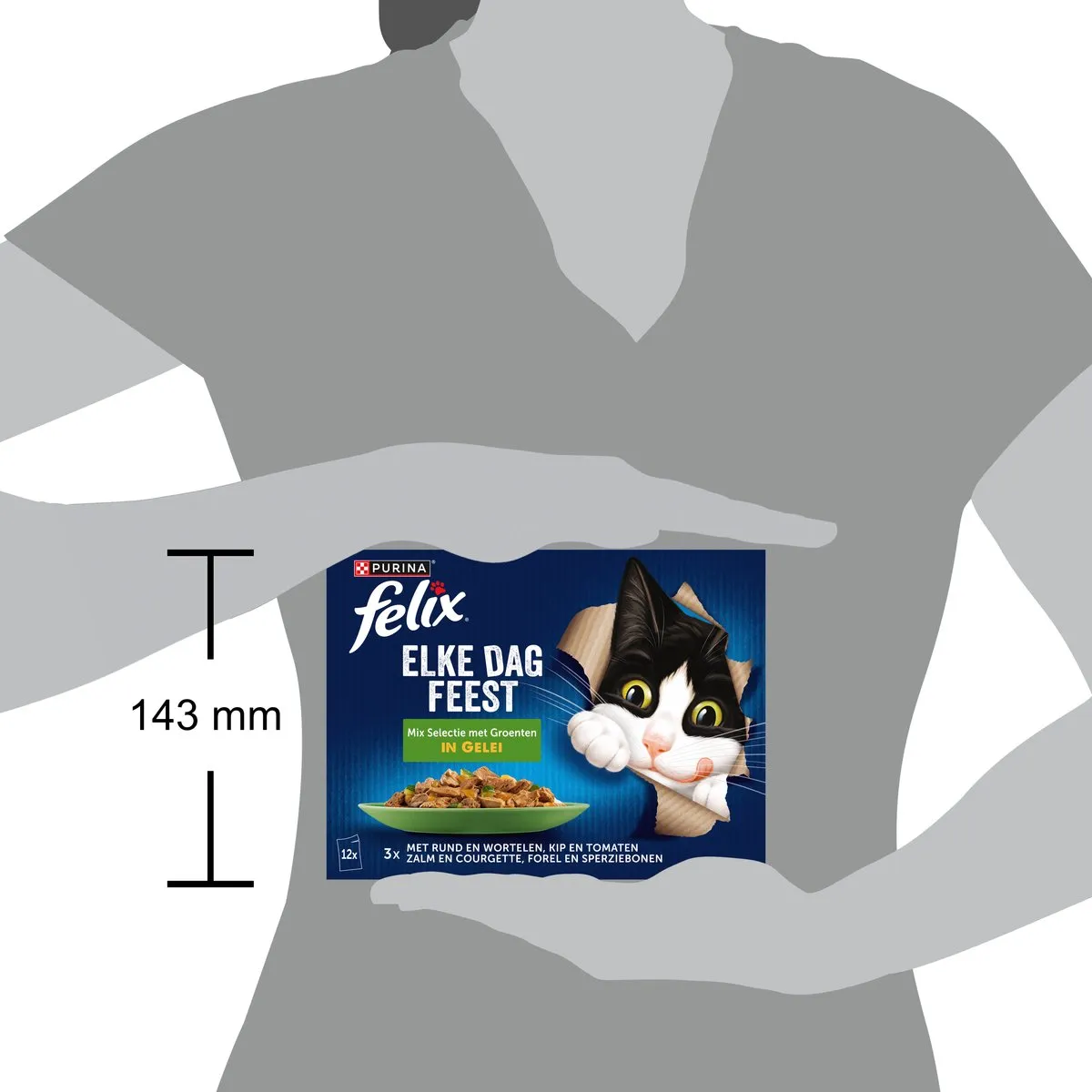 Felix Elke Dag Feest in Gelei Kattenvoer - Groente Selectie - 48x85g