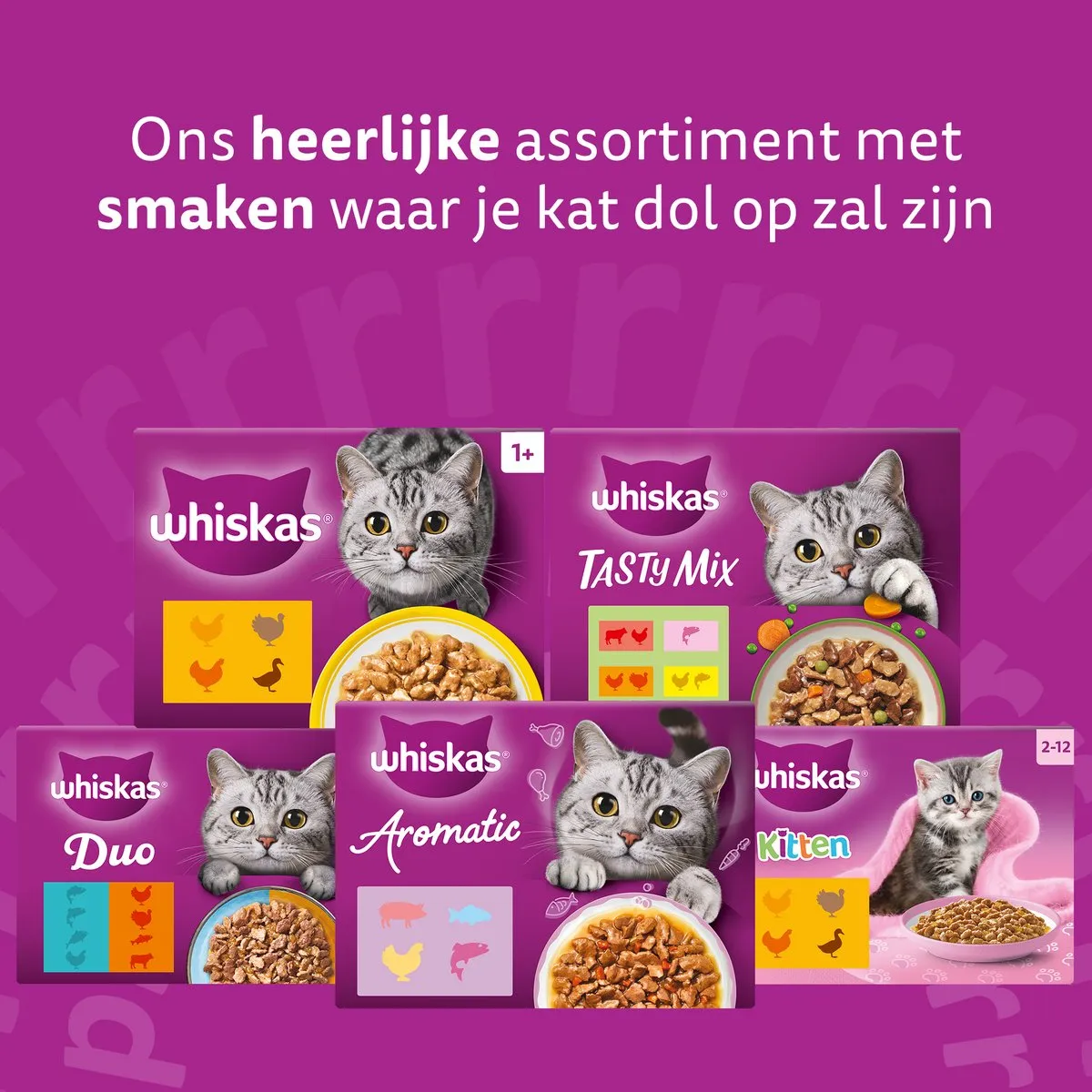 Whiskas Senior Gevogelte Selectie in Geleie - 4x85g