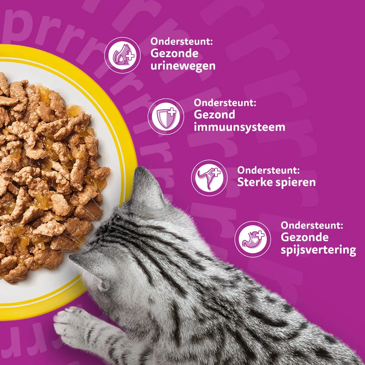 Whiskas Senior Gevogelte Selectie in Geleie - 4x85g