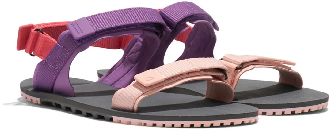 Xero Shoes D-Trail Sandalen Dewberry Multi 38.5 - afbeelding 5 van 6