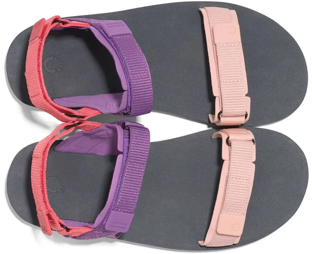 Xero Shoes D-Trail Sandalen Dewberry Multi 38.5 - afbeelding 6 van 6