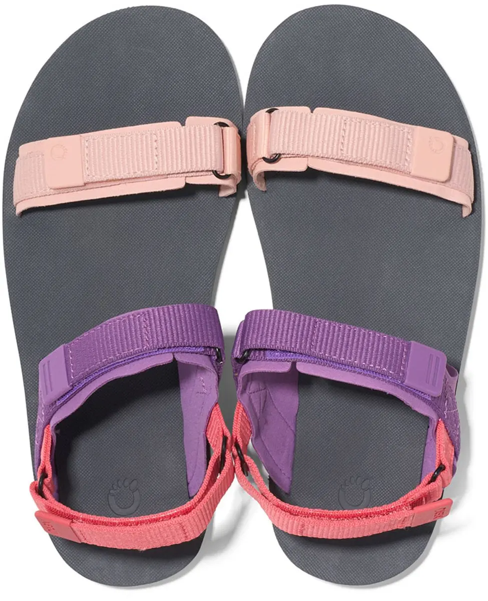 Xero Shoes D-Trail Sandalen Dewberry Multi - afbeelding 5 van 6