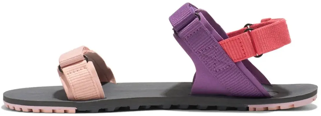 Xero Shoes D-Trail Sandalen Dewberry Multi - afbeelding 6 van 6
