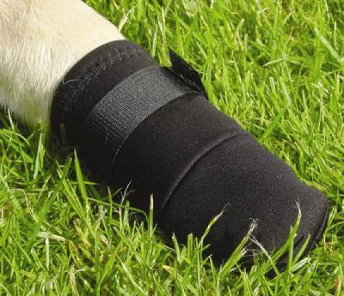 Beeztees Beschermingsschoen Hond