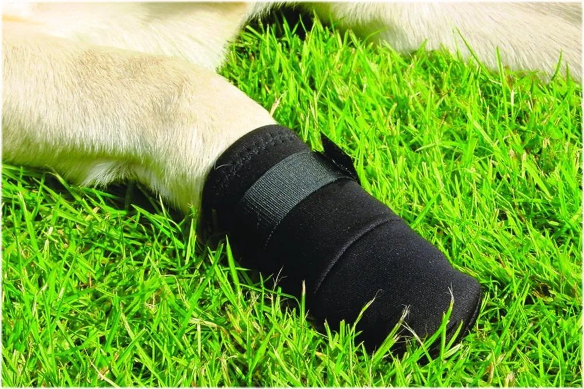 Beeztees Beschermingsschoen Hond - Zwart L - 2 Stuks - afbeelding 6 van 6