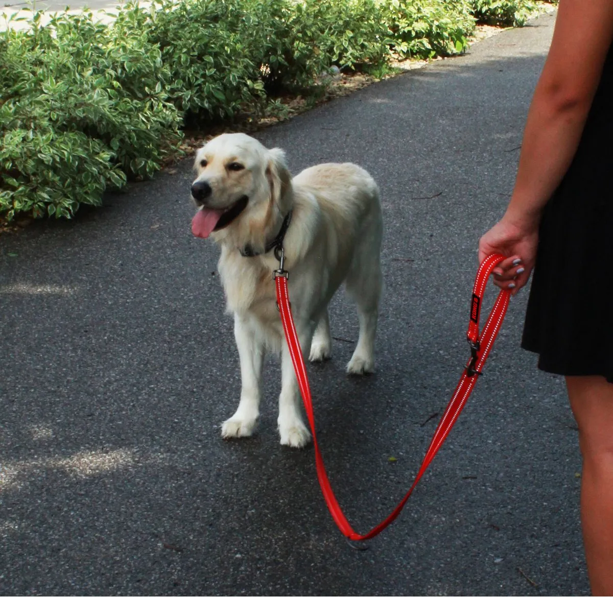 KONG Adjustable Leash M/L - Zwart