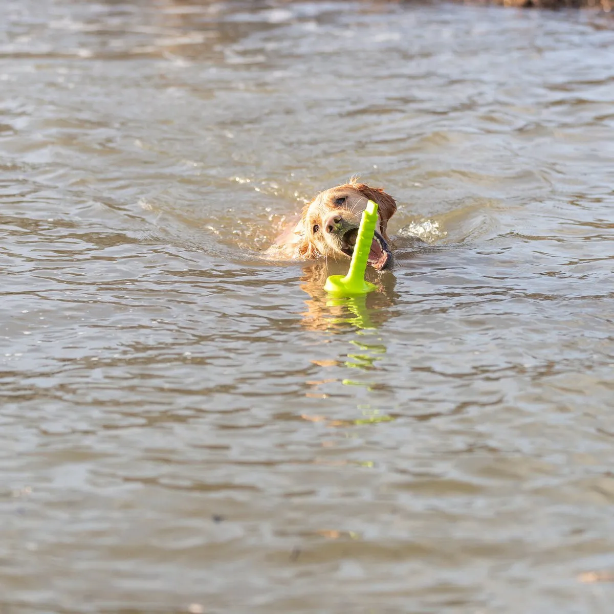 Trixie Dog Activity Mot-Aqua Dobber Limegroen 29cm