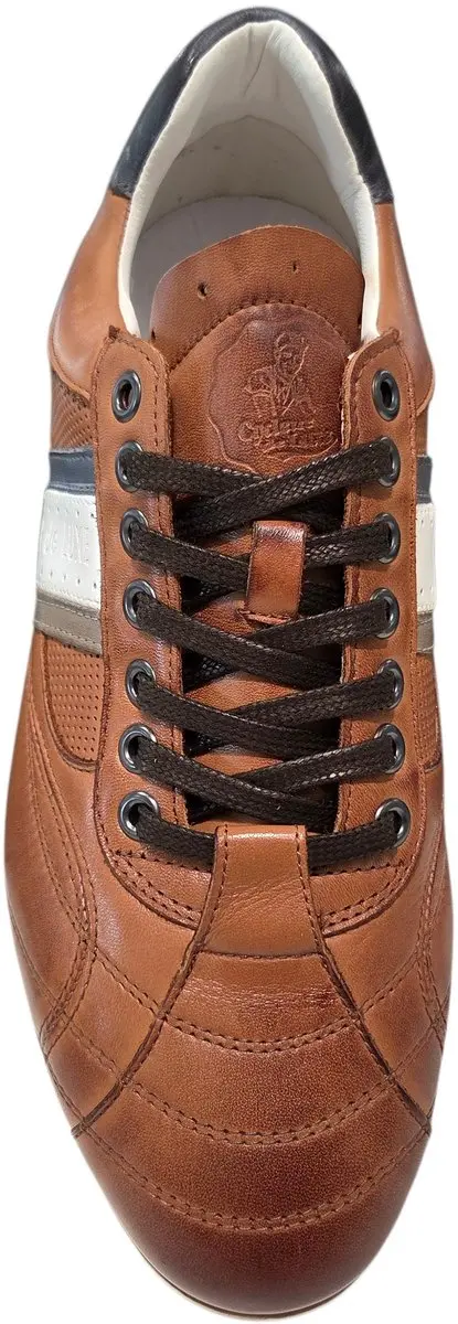 Cycleur de Luxe CDLM201201 Sneakers - Bruin - afbeelding 3 van 4