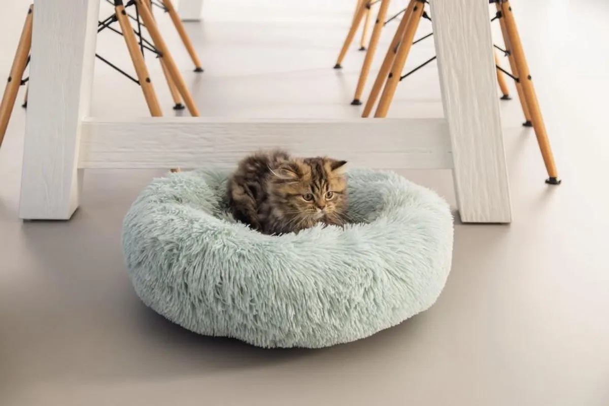 Beeztees Kitten Vako Kattenmand - Blauw 50x50x18