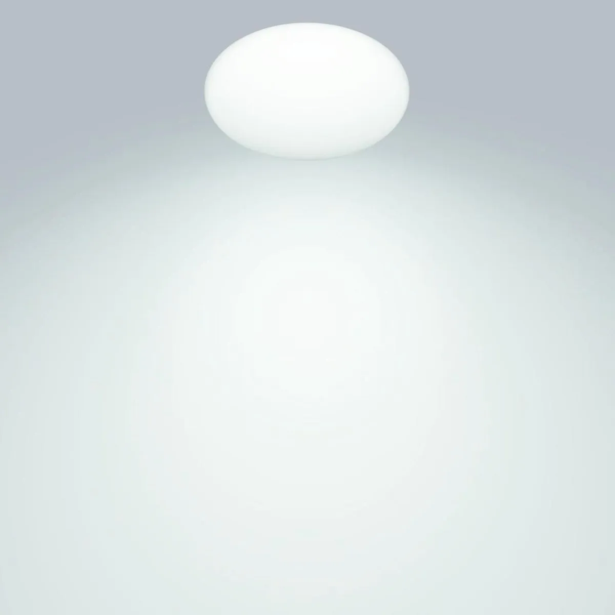 Philips Shan Plafondlamp 12W - Koelwit - Ø26cm