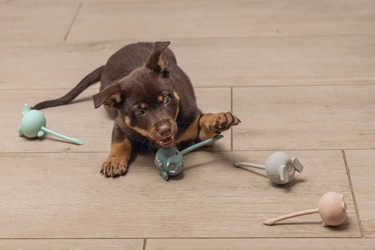 Beeztees Puppy Mini Tails Hondenspeelgoed - Assorti