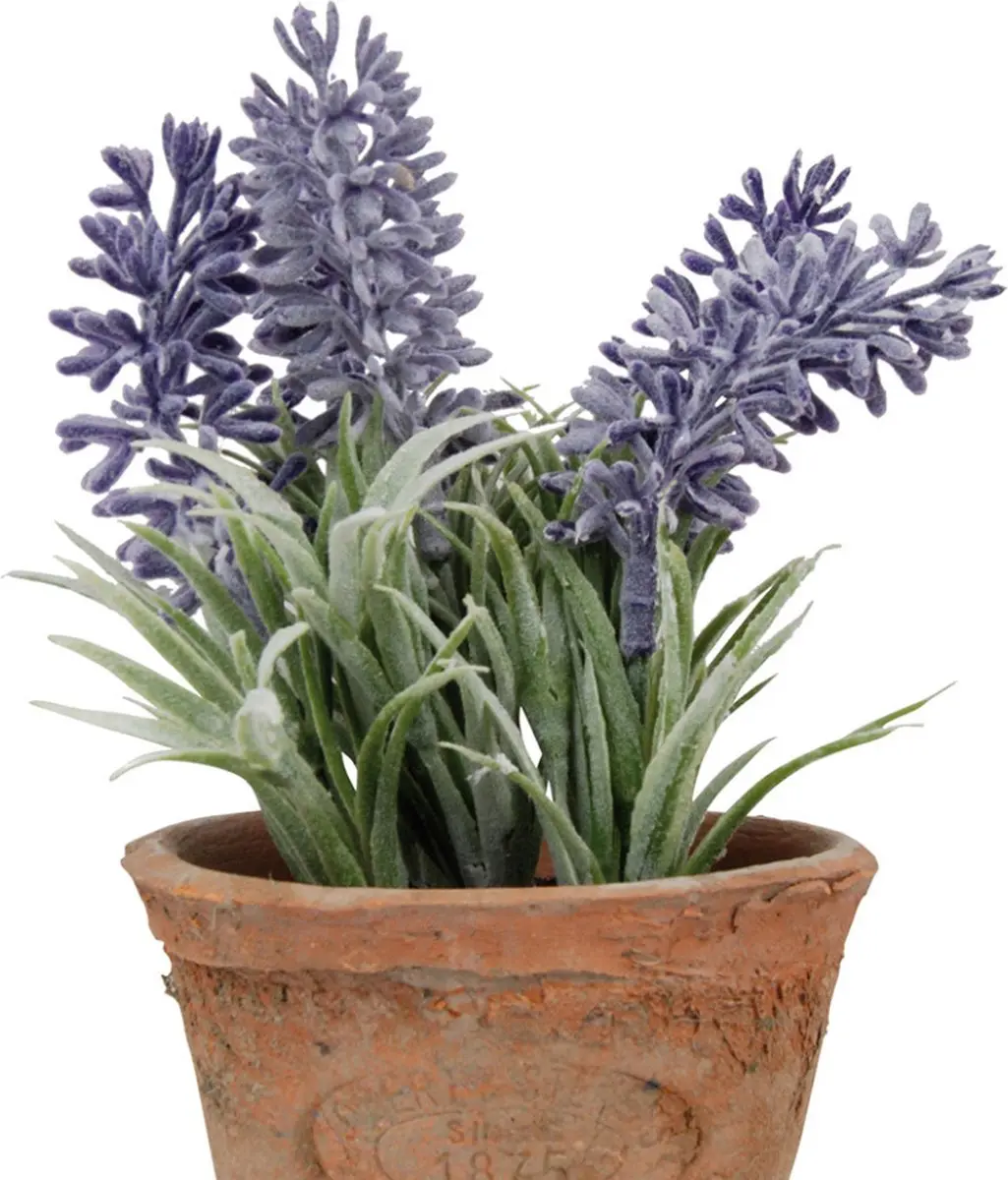Esschert Design Kunstplant Lavendel AH009 15.5cm Multi - afbeelding 2 van 4