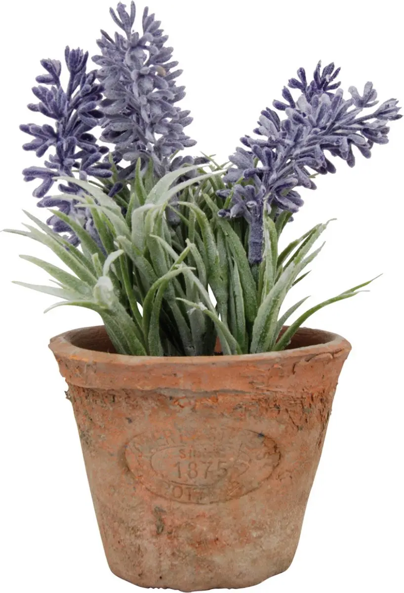 Esschert Design Kunstplant Lavendel AH009 15.5cm Multi