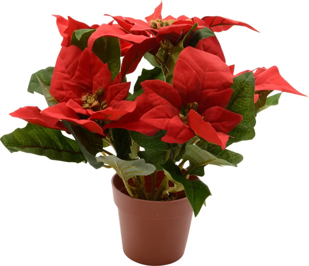 Kaemingk Poinsettia zijde pot d16x27cm kerstrood